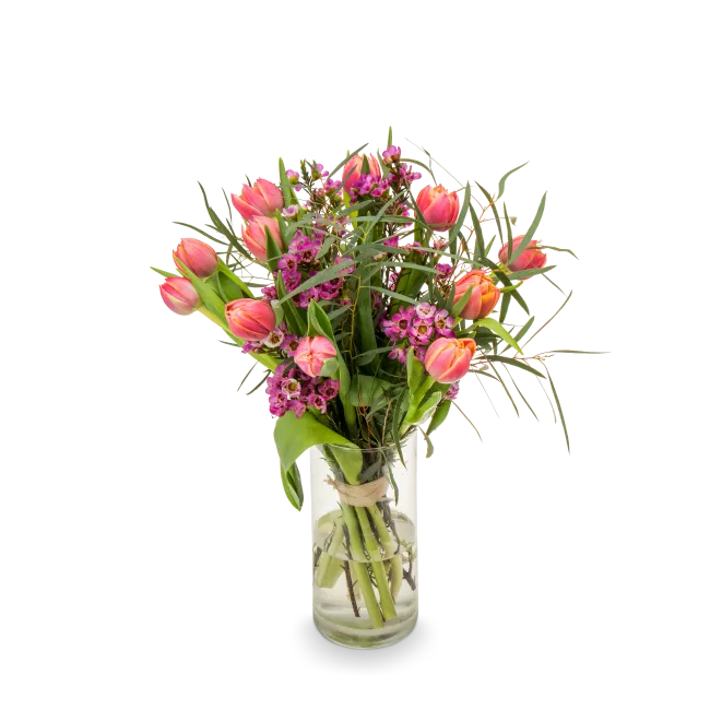 Kytice prémiových tulipánů